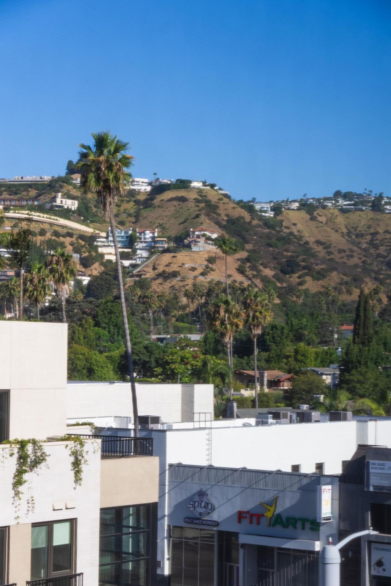 Bright Studio On Sunset Blvd, Free Parking, Gym, And Pool Лос-Анджелес Екстер'єр фото